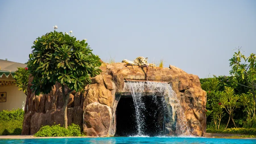 Wedding Planner in Chandigarh